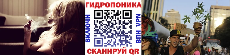 дарк нет клад  Мариинский Посад  Бошки марихуана Bruce Banner 